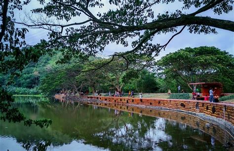 digos city eco park and arboretum|The Digos City Eco Park and Arboretum is a Digos City.